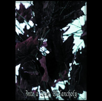Album cover for Into a Deep Melancholy