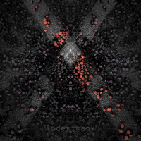 Album cover for Todestrank