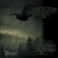 Album cover for Winds