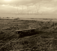 Album cover for Adieu, vat !