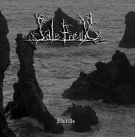 Album cover for Vindilis