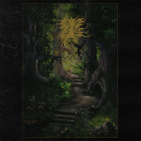 Album cover for The Green Enchanted Forest of the Druid Wizard