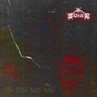 Album cover for Skin Stone Blood Bone