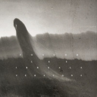 Album cover for L.amor.t