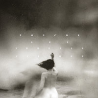 Album cover for Les irreals visions