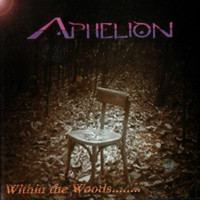 Album cover for Within the Woods…