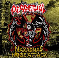 Nakadnas Noise Attack