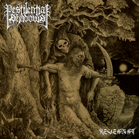 Album cover for Revenant