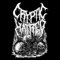 Album cover for Vile Execution