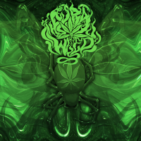 Album cover for Boris the Spider