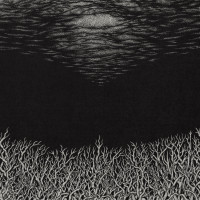 Album cover for The Slow Dying of the Great Barrier Reef