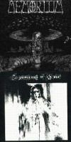 Album cover for Symphony of Grief