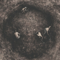 Album cover for Bleak Days Ahead