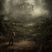 Album cover for Sempiternal Wisdom