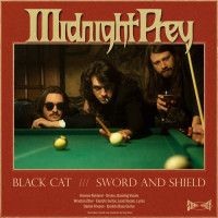 Album cover for Black Cat / Sword and Shield