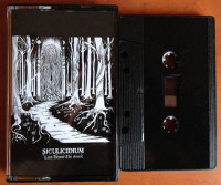 Album cover for Land Beyond the Forest