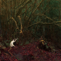 Album cover for To Live Is To Die, To Die Is To Live