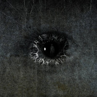 Album cover for Ferocious Fellowman