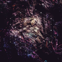 Album cover for Unfold the God Man