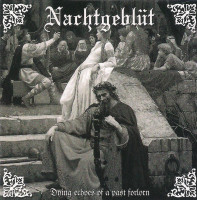 Album cover for Dying Echoes Of A Past Forlorn