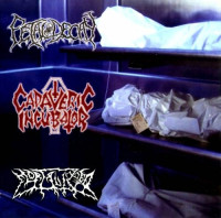 Album cover for Fetal Decay / Cadaveric Incubator / Mortalized