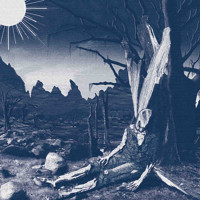Album cover for Schmerz aus Licht