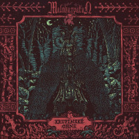 Album cover for Krupinské ohne