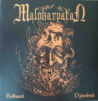 Album cover for Holbaard Dzírobrad / Kartanon herra