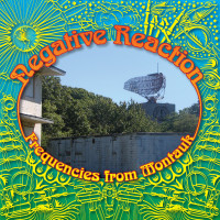 Album cover for Frequencies from Montauk