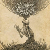 Album cover for Disambiguation