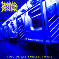 Album cover for Void of All Endless Forms