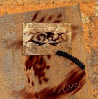 Gore