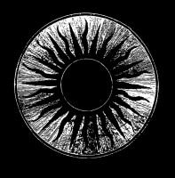 Album cover for Channeling Death and Devil