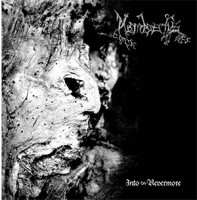 Album cover for Into Nevermore