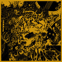 Album cover for Secrets of the Pulse