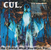 Album cover for Be Careful What You Wish for...