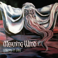 Album cover for Visions in Fire