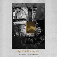Album cover for Wings in the Night Sky