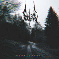Album cover for Unreachable