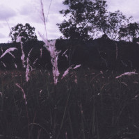 Album cover for Hope