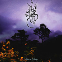 Album cover for Shine in Purity