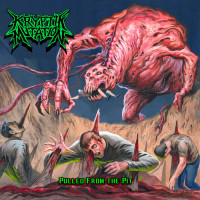 Album cover for Pulled from the Pit