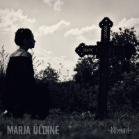 Album cover for NiMeNi