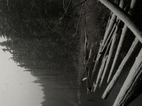 Beam