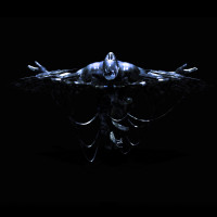 Album cover for docility