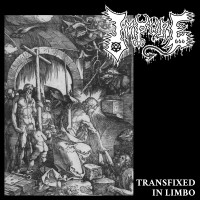 Album cover for Transfixed in Limbo