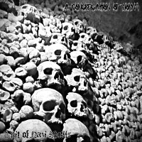 Album cover for A Pit of Nazi Skulls