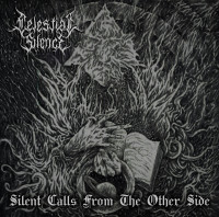 Album cover for Silent Calls From the Other Side