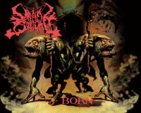 Album cover for Born