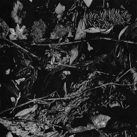 Album cover for Dede Kondre